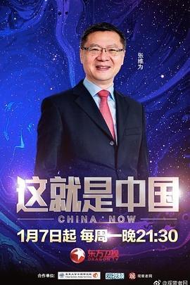 亚洲精品久久久久久中文字幕